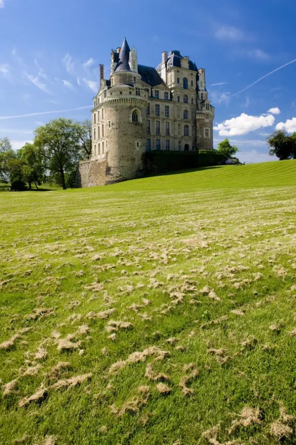 castelo-brissac-quincé-pays-de-la-loire-frança-exterior-ar-livre-parte-externa-exteriores-europa-ocidental-val-vale-dpartement-153637210